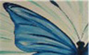 Morpho du Brésil