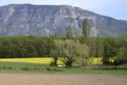 Commandez votre oeuvre : une huile sur toile de votre paysage préféré.